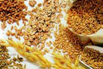 Lavorazione cereali