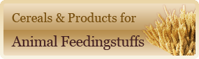 Organic products for animal feedingstuffs