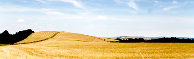 Cereal production