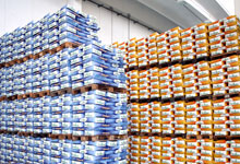 Lavorazione Cereali